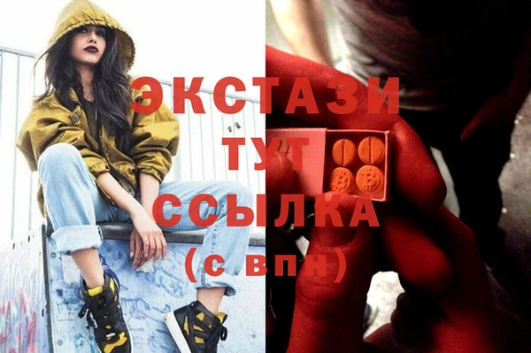 гашик Алексеевка