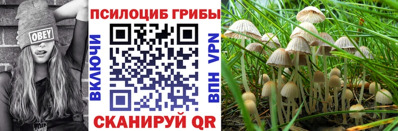 наркотики  Салехард  Галлюциногенные грибы ЛСД 